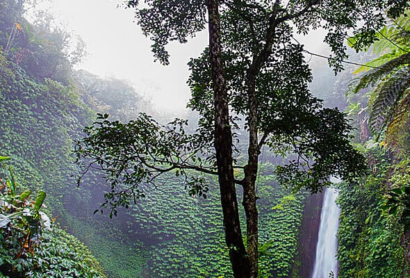 img-07-free-img.jpg img-07-free-img.jpg